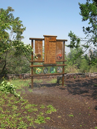 Die grosse Hinweistafel zu den
                                  Heilkr�utern 01