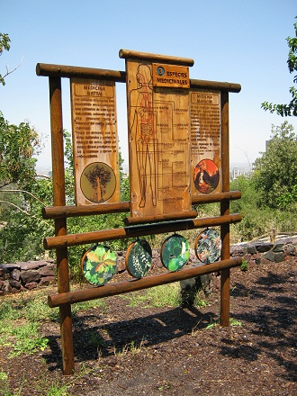 Die grosse Hinweistafel zu den
                                  Heilkr�utern 02