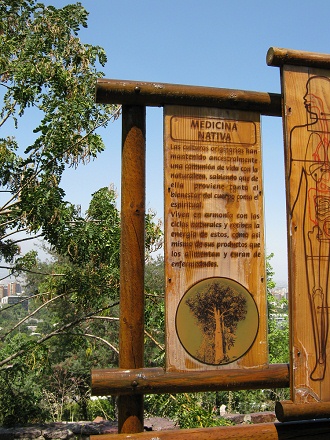 Grosse Hinweistafel �ber Heilkr�uter,
                          Text 01