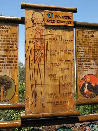 Grosse Hinweistafel �ber Heilkr�uter,
                          Text 02