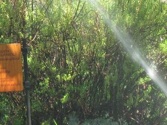 Bew�sserung der Hinweistafel