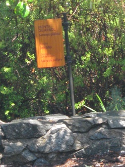 Die Tafel "Menta de �rbol"