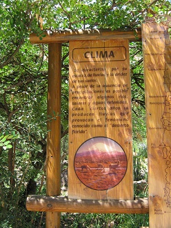 Grosse Hinweistafel zur n�rdlichen
                          Vegetationszone Chiles, Text 1