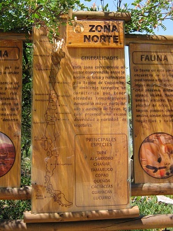 Grosse Hinweistafel zur n�rdlichen
                          Vegetationszone Chiles, Text 2