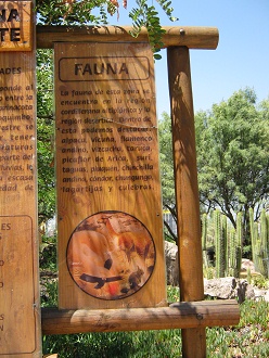 Grosse Hinweistafel zur n�rdlichen
                          Vegetationszone Chiles, Text 3