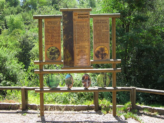 Grosse Hinweistafel auf das �kosystem
                          Wald (02)