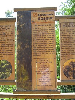 Grosse Hinweistafel auf das �kosystem
                          Wald, Text 02