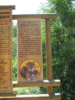 Grosse Hinweistafel auf das �kosystem
                          Wald, Text 03