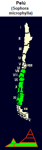 Pel�, Karte und Grafik der
                                Verbreitung