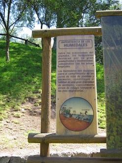 Grosse Hinweistafel mit dem Wasser als
                          �kosystem, Text 1