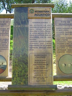 Grosse Hinweistafel mit dem Wasser als
                          �kosystem, Text 2