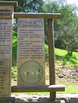 Grosse Hinweistafel mit dem Wasser als
                          �kosystem, Text 3