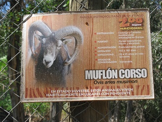 Tafel des Steinbocks