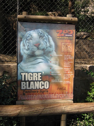 Tafel mit
                          Angaben �ber den Weissen Tiger