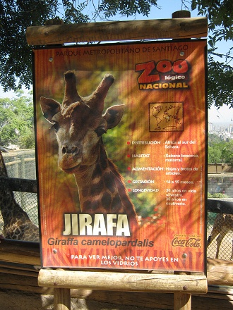 Tafel mit Angaben �ber die Giraffe