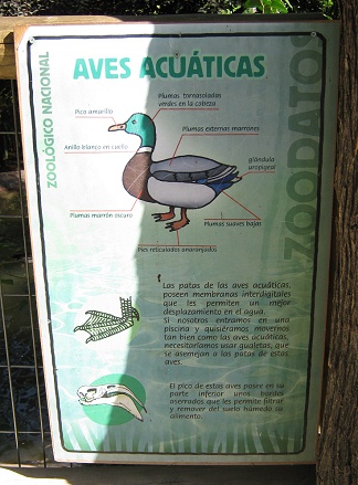 Tafel mit Angaben �ber Wasserv�gel