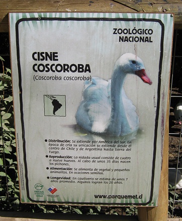 Tafel mit Angaben �ber den Schwan