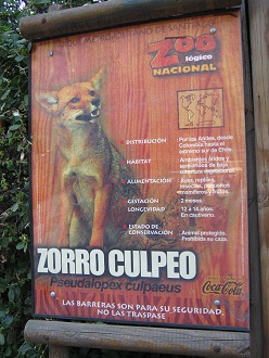 Tafel mit Angaben �ber den Magellanfuchs