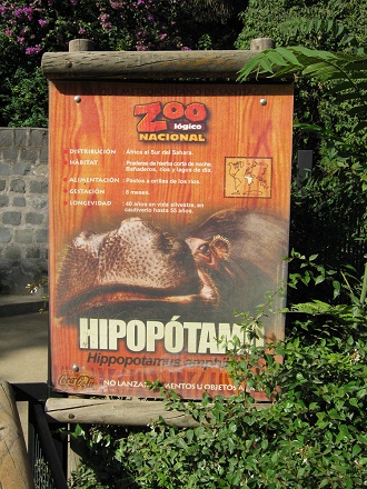 Tafel mit Angaben �ber das Nilpferd