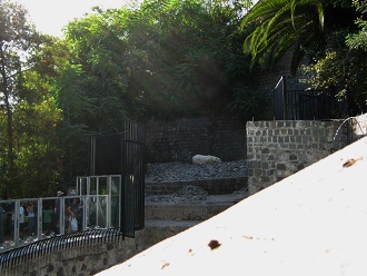 Polarb�r in seiner Ecke