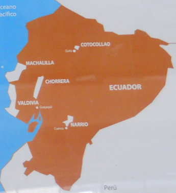 Die Karte des Museums mit den Kulturen Narrío,
                  Valdivia, Chorrera, Machalilla und Cotocollao im
                  heutigen Ecuador