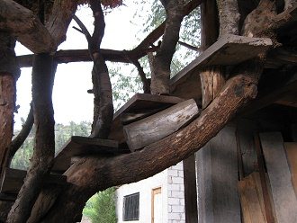 Naturtreppe 03, Detail