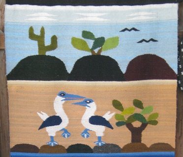 V�gel, H�gel, Strand, K�ste,
                                  Pelikane