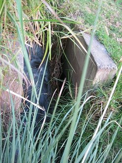 Der
                          Hauptkanal f�hrt neben dem G�stehaus vorbei