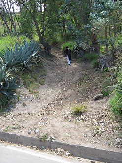 Fussweg mit Jos� 01