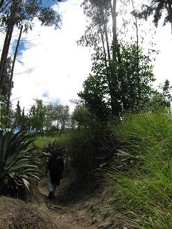 Fussweg mit Jos� 02