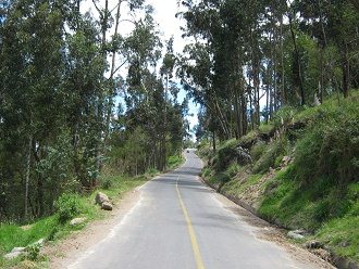 Die Strasse aufw�rts durch den
                          Eukalyptus-Wald