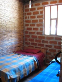 G�stebett an einer Pfahlrohr-Schilfwand
                          und an einer Backsteinwand