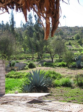 Aussicht hinten hinaus 01