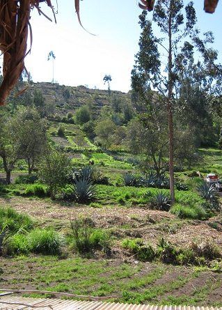 Aussicht hinten hinaus 02