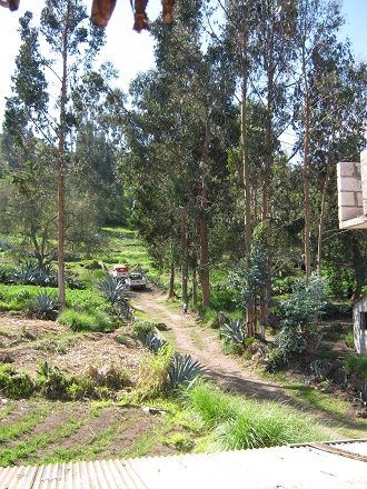 Aussicht hinten hinaus 03