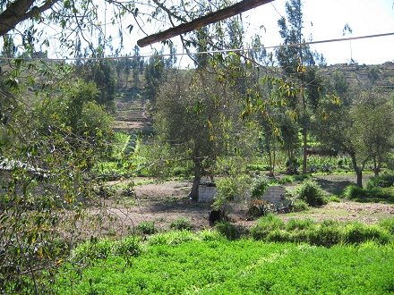 Aussicht nach hinten hinaus auf, Feld,
                          Wald und Wiese