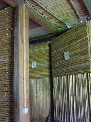 Kabelrohr aus Pfahlrohr-Schilf (span.:
                          carrizo)