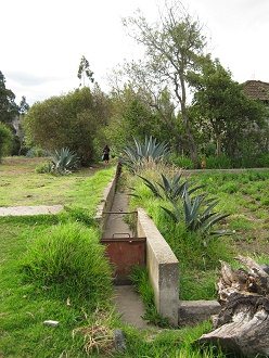 Bew�sserungskanal, Nahaufnahme