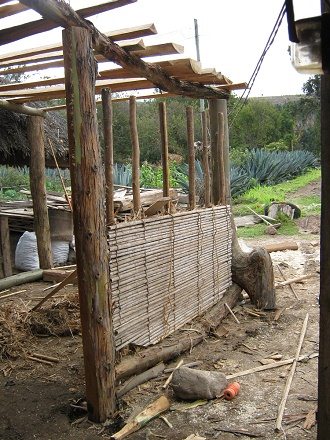 Die Pfahlrohrwand (Schilfrohr,
                                  span. carrizo) ist halb fertig