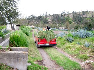 Familie auf Pickup (02)