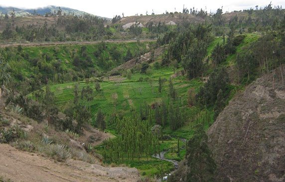 Der Ca�on bei Salasaca-Huasalata,
                          Nahaufnahme des Talgrunds