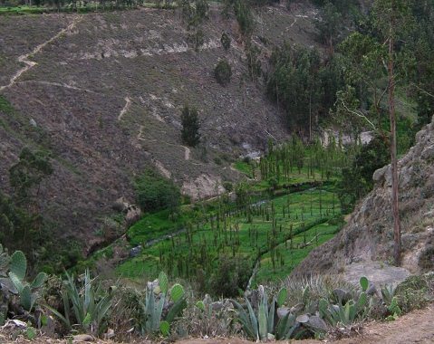 Ca�on, Tal und Felder 01, Nahaufnahme