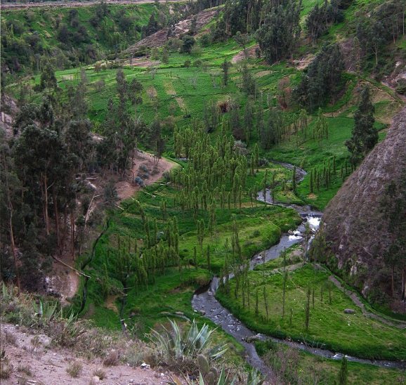 Ca�on, Tal und Felder 02, Nahaufnahme