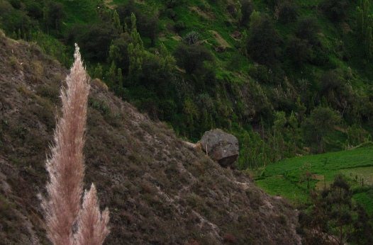 Der Prallhang des Ca�ons mit dem
                          S�ngerstein, Nahaufnahme