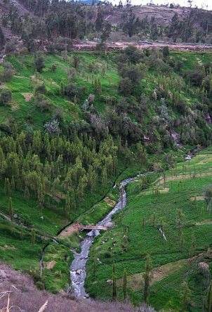 Eine Br�cke im Ca�on