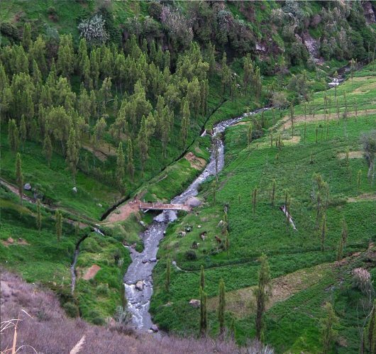 Eine Br�cke im Ca�on, Nahaufnahme