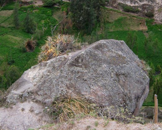 Vista de arriba a la piedra del cantante
                          02, primer plano