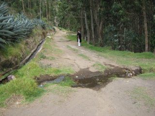 Kanal und Feldweg zum Ca�on