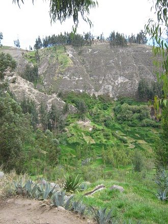 Der Abhang zum Ca�on mit Sicht
                                  auf den fruchtbaren Talboden in der
                                  Schlucht