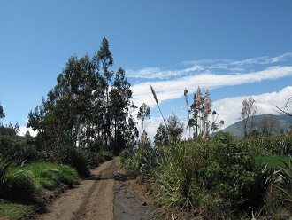 Wegbew�sserung und Chispagras